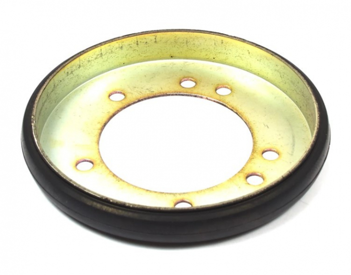 Disco, attrito nel gruppo I Pezzi Di Ricambio / Ricambi Briggs & Stratton presso GPLSHOP (1725428SM)