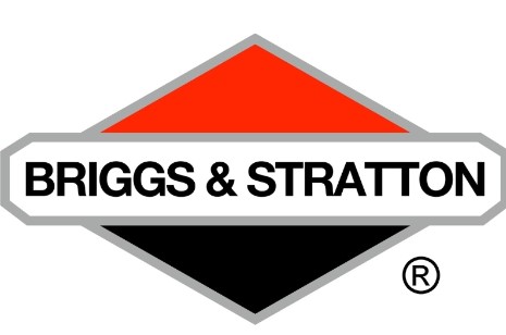 nel gruppo I Pezzi Di Ricambio / Ricambi Briggs & Stratton presso GPLSHOP (262626)