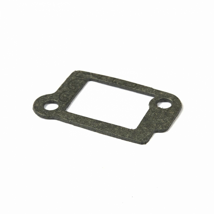 Guarnizione-Tubo di aspirazione nel gruppo I Pezzi Di Ricambio / Ricambi Briggs & Stratton presso GPLSHOP (270345S)
