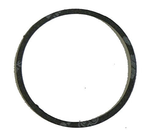 Guarnizione alloggiamento galleggiante nel gruppo I Pezzi Di Ricambio / Ricambi Briggs & Stratton presso GPLSHOP (270511)
