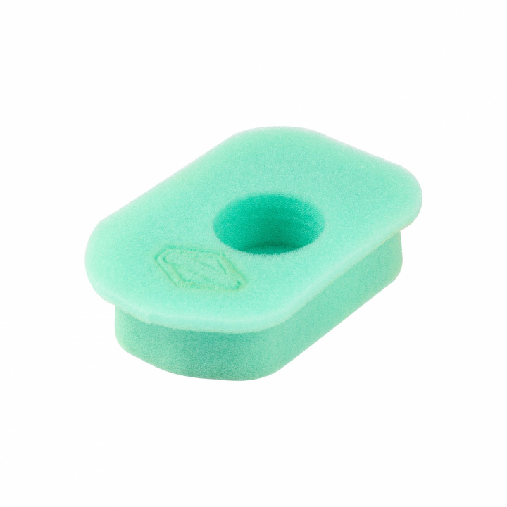 Filtro nel gruppo I Pezzi Di Ricambio / Filtri dell’aria / Filtro dell’aria per tosaerba presso GPLSHOP (270579S)