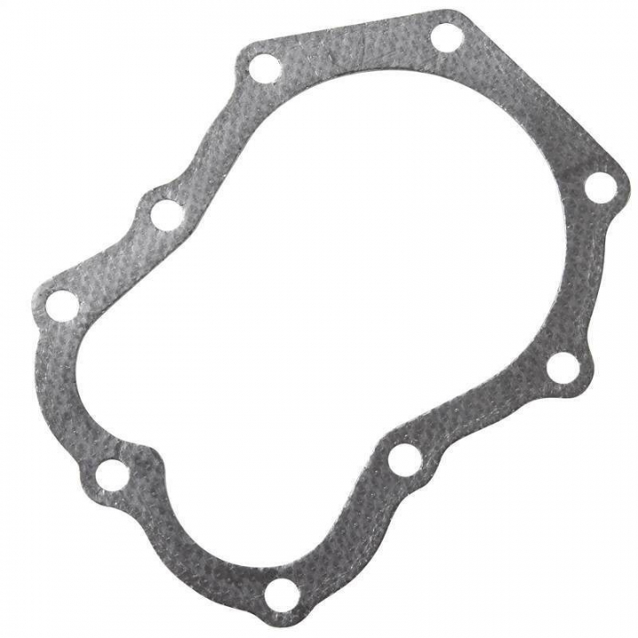 Guarnizione della testata nel gruppo I Pezzi Di Ricambio / Ricambi Briggs & Stratton presso GPLSHOP (271867S)