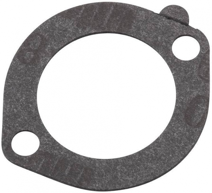 Guarnizione-filtro dell'aria nel gruppo I Pezzi Di Ricambio / Ricambi Briggs & Stratton presso GPLSHOP (271935S)