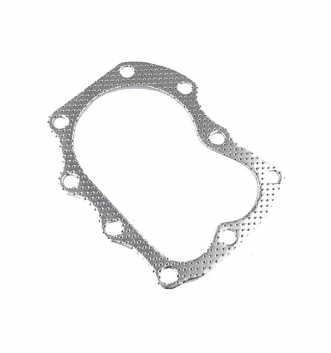 Guarnizione della testata nel gruppo I Pezzi Di Ricambio / Ricambi Briggs & Stratton presso GPLSHOP (272163S)