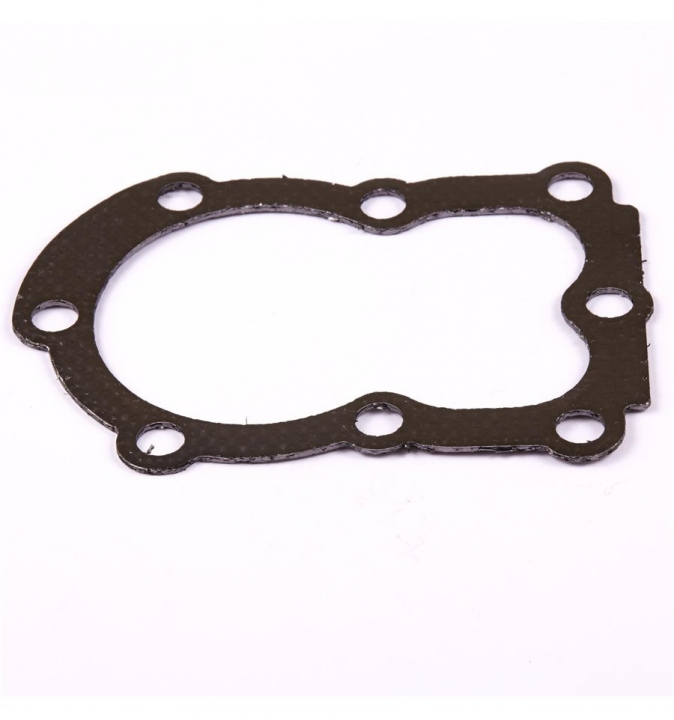 Imballaggio nel gruppo I Pezzi Di Ricambio / Ricambi Briggs & Stratton presso GPLSHOP (272167)