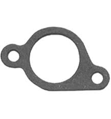 Imballaggio nel gruppo I Pezzi Di Ricambio / Ricambi Briggs & Stratton presso GPLSHOP (272199S)