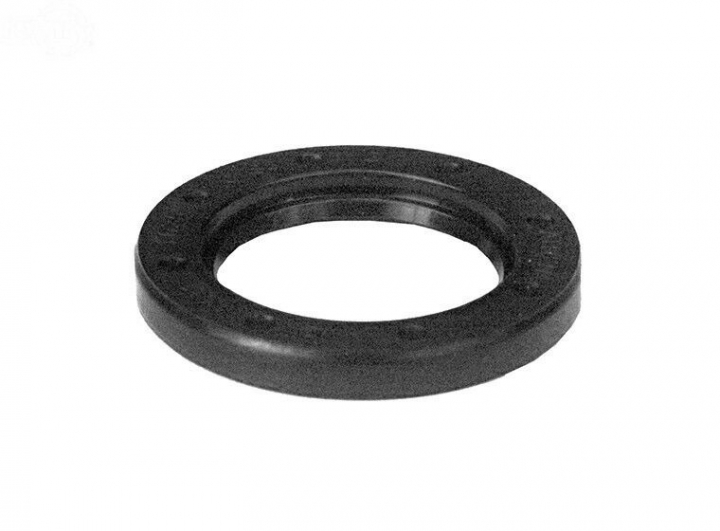Anello di tenuta nel gruppo I Pezzi Di Ricambio / Ricambi Briggs & Stratton presso GPLSHOP (294606S)