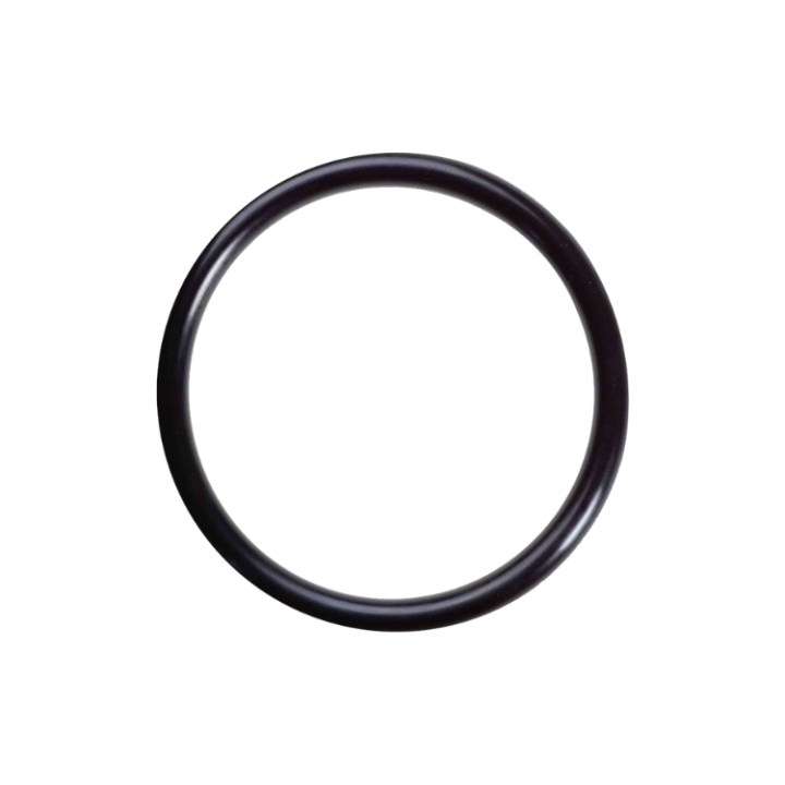 O-Ring 2956817-01 nel gruppo  presso GPLSHOP (2956817-01)