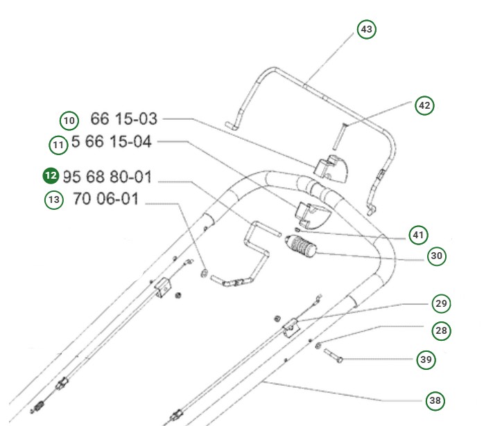 Fegato nel gruppo  presso GPLSHOP (2956880-01)