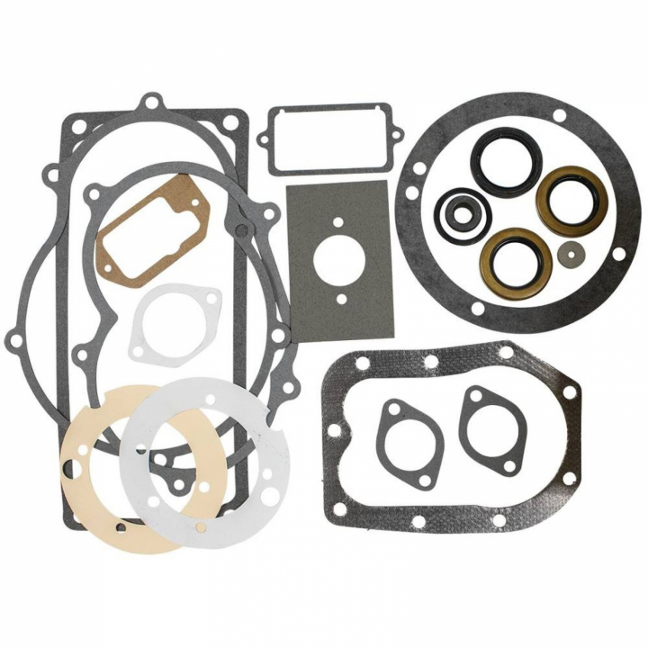 Insieme della guarnizione nel gruppo I Pezzi Di Ricambio / Ricambi Briggs & Stratton presso GPLSHOP (299719)
