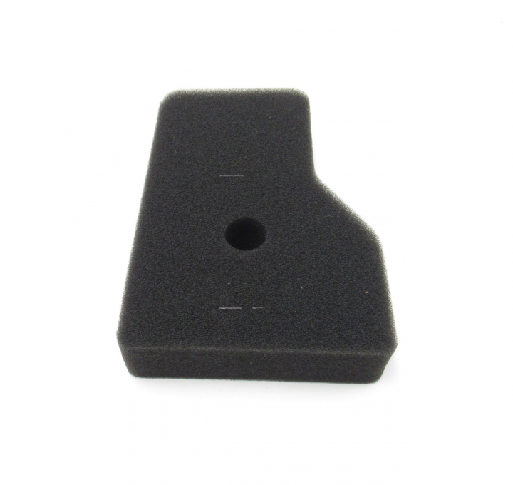 Filtro in schiuma nel gruppo I Pezzi Di Ricambio / Filtri dell’aria / Filtro dell’aria per tosaerba presso GPLSHOP (311388GS)