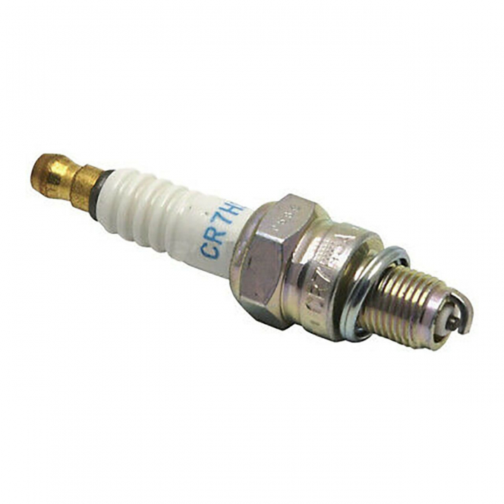 Candela nel gruppo I Pezzi Di Ricambio / Ricambi Briggs & Stratton presso GPLSHOP (311419GS)