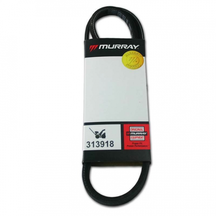 Cinghia trapezoidale, 3L 36,8 nel gruppo I Pezzi Di Ricambio / Ricambi Briggs & Stratton presso GPLSHOP (313918MA)