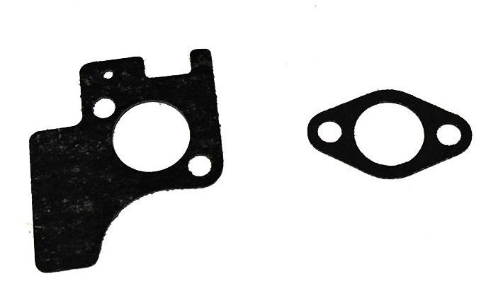 Guarnizione-Tubo di aspirazione nel gruppo I Pezzi Di Ricambio / Ricambi Briggs & Stratton presso GPLSHOP (392854)