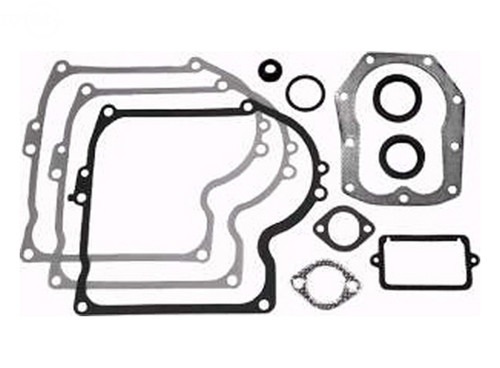 Insieme della guarnizione nel gruppo I Pezzi Di Ricambio / Ricambi Briggs & Stratton presso GPLSHOP (393411)