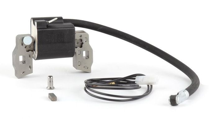 Bobina di accensione nel gruppo I Pezzi Di Ricambio / Ricambi Briggs & Stratton presso GPLSHOP (397358)