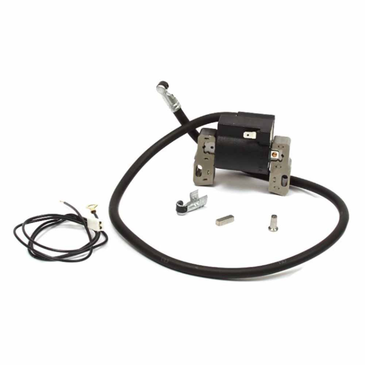 Bobina di accensione B&S nel gruppo I Pezzi Di Ricambio / Ricambi Briggs & Stratton presso GPLSHOP (398811)