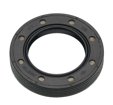 Oil seal 399781 nel gruppo  presso GPLSHOP (399781)