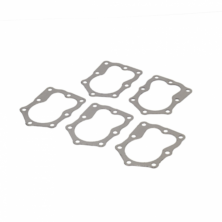 Guarnizione (5 X 272200S) nel gruppo I Pezzi Di Ricambio / Ricambi Briggs & Stratton presso GPLSHOP (4122)