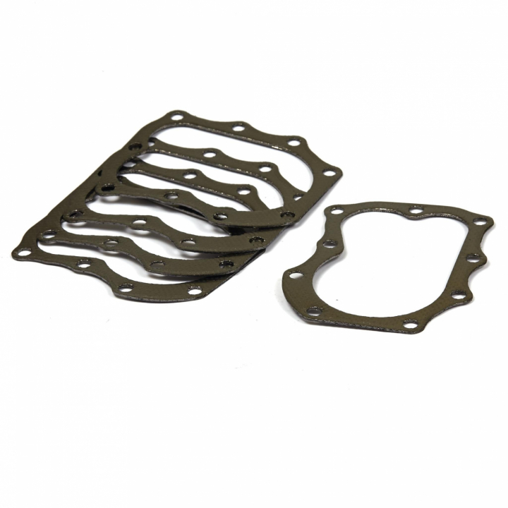 Guarnizione (5 X 698717) nel gruppo I Pezzi Di Ricambio / Ricambi Briggs & Stratton presso GPLSHOP (4123)