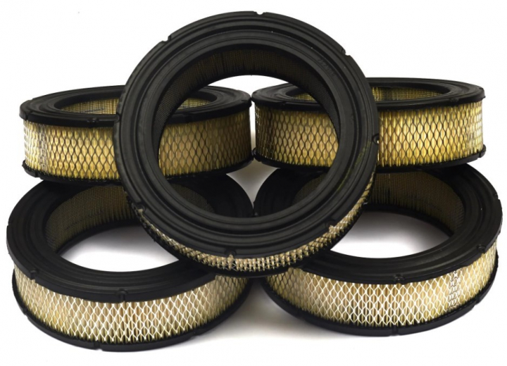 Filtro A/C (5 X 692519) nel gruppo I Pezzi Di Ricambio / Ricambi Briggs & Stratton presso GPLSHOP (4232)