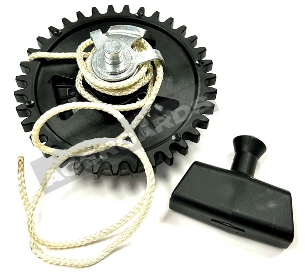 Antipasto nel gruppo I Pezzi Di Ricambio / Ricambi Briggs & Stratton presso GPLSHOP (490647)
