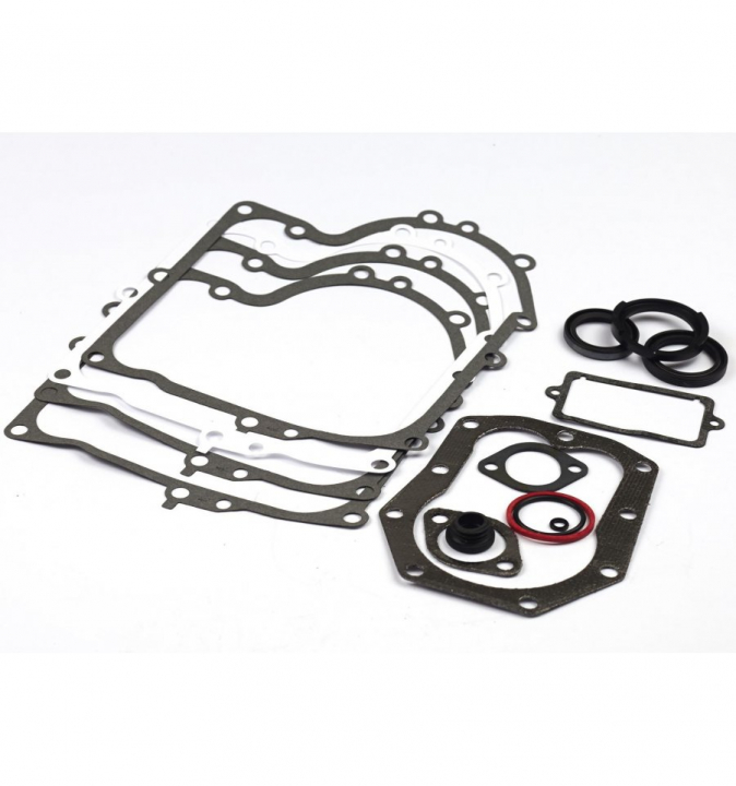 Kit Guarnizioni 494241 nel gruppo I Pezzi Di Ricambio / Ricambi Briggs & Stratton presso GPLSHOP (494241)