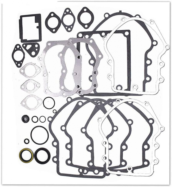 Kit guarnizioni nel gruppo I Pezzi Di Ricambio / Ricambi Briggs & Stratton presso GPLSHOP (495868)