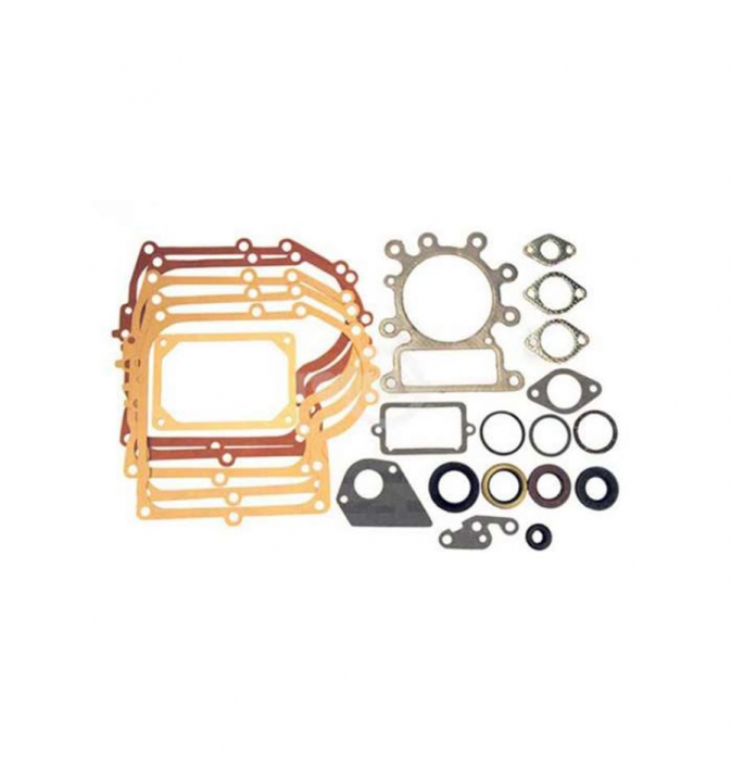 Kit guarnizioni nel gruppo I Pezzi Di Ricambio / Ricambi Briggs & Stratton presso GPLSHOP (495993)