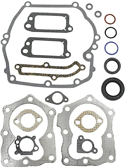 Gasket set 497316 nel gruppo  presso GPLSHOP (497316)