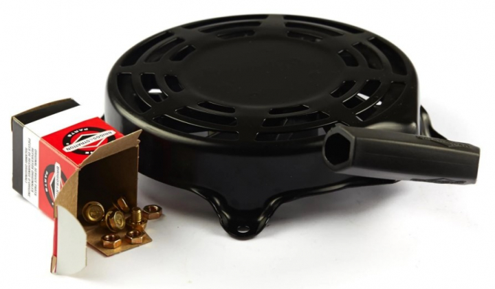 Antipasto nel gruppo I Pezzi Di Ricambio / Ricambi Briggs & Stratton presso GPLSHOP (497680)
