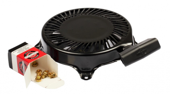 Antipasto nel gruppo I Pezzi Di Ricambio / Ricambi Briggs & Stratton presso GPLSHOP (497830)