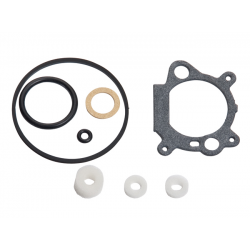 Gasket kit 498261 nel gruppo  presso GPLSHOP (498261)