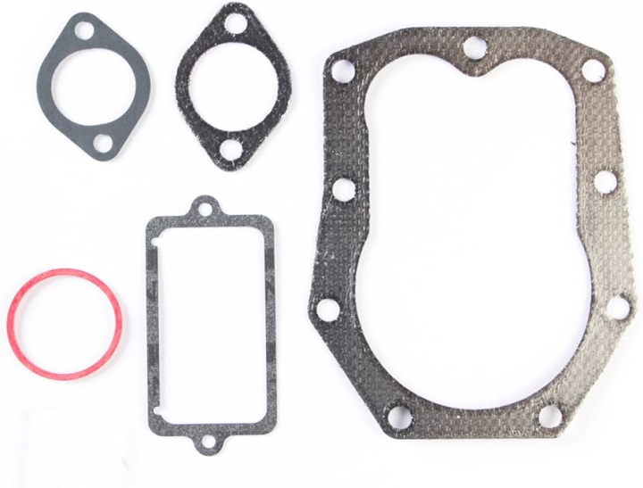 Guarnizione-Valvola nel gruppo I Pezzi Di Ricambio / Ricambi Briggs & Stratton presso GPLSHOP (498539)