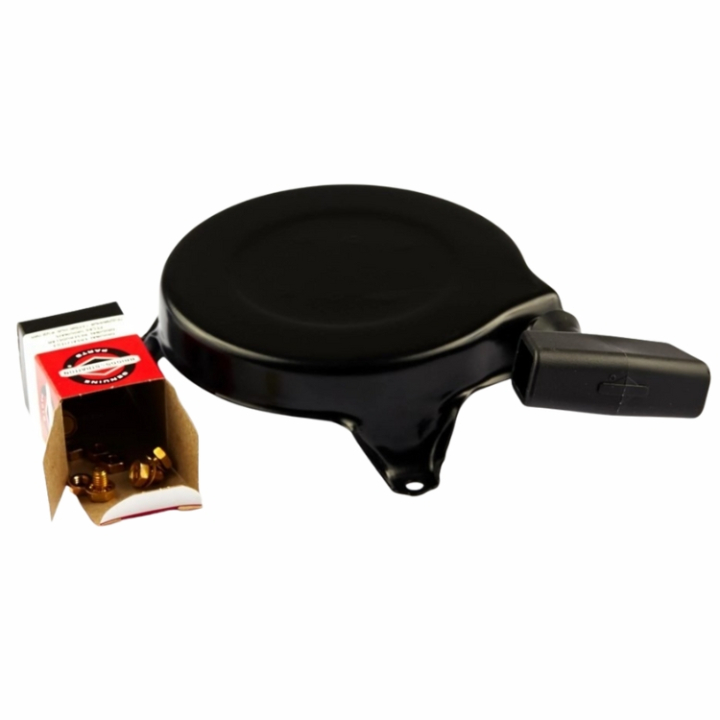 Antipasto nel gruppo I Pezzi Di Ricambio / Ricambi Briggs & Stratton presso GPLSHOP (499706)