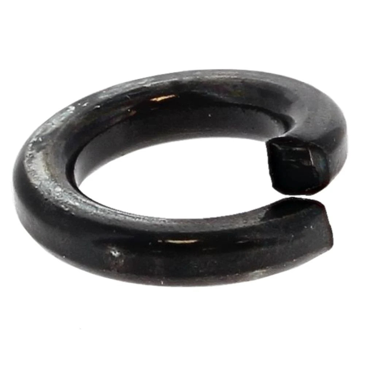 Rondella Elastica 5024342-01 nel gruppo  presso GPLSHOP (5024342-01)