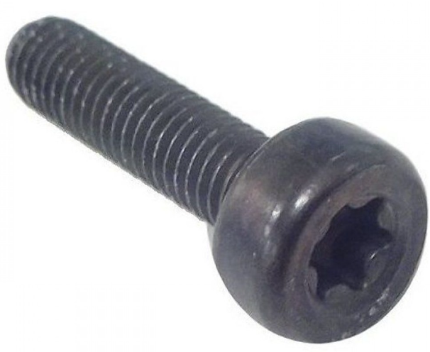 Vite Torx D10, M5X20 nel gruppo  presso GPLSHOP (5032153-20)
