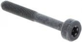 Al diavolo Itxscm nel gruppo  presso GPLSHOP (5032153-65)