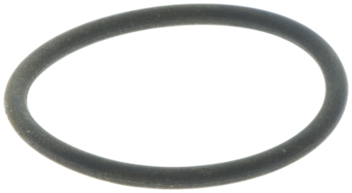 O-ring nel gruppo presso GPLSHOP (5032630-03)