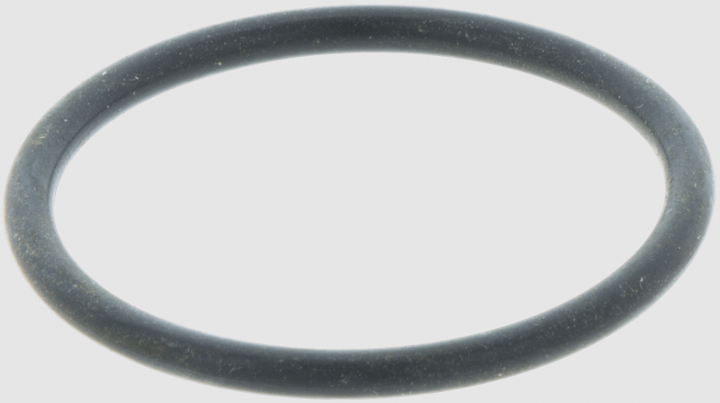O-ring 5032630-05 nel gruppo  presso GPLSHOP (5032630-05)