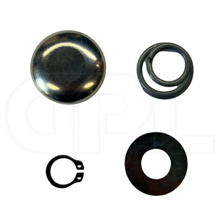 Kit di accessori per ruote nel gruppo  presso GPLSHOP (5032722-01)
