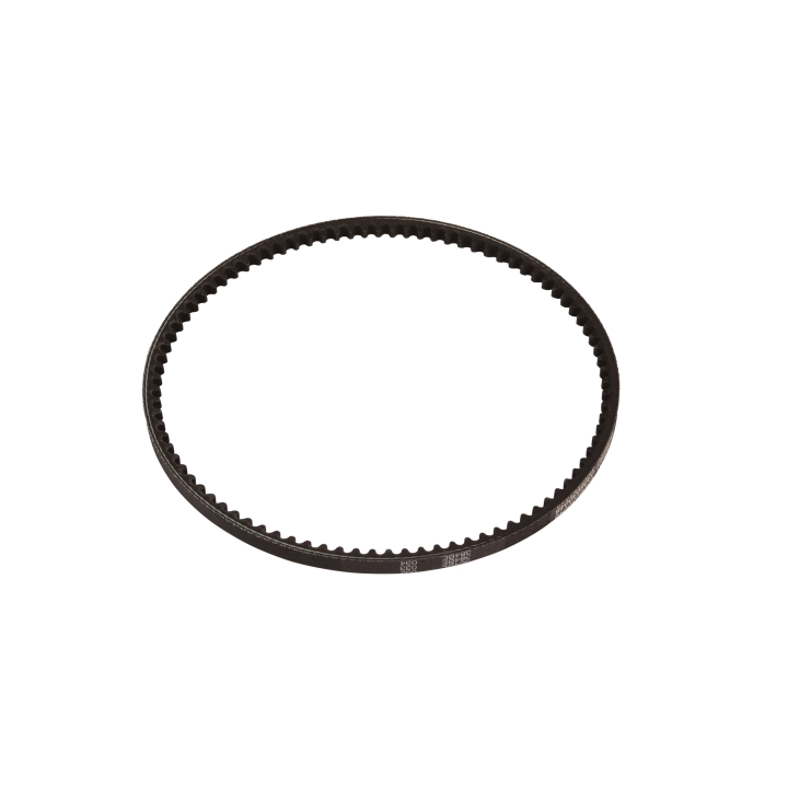 Cinghia nel gruppo  presso GPLSHOP (5040509-01)
