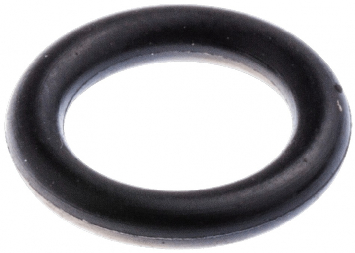 Anello di tenuta nel gruppo  presso GPLSHOP (5051035-01)