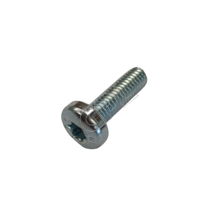 Vite nel gruppo I Pezzi Di Ricambio / Pezzi di ricambio Rider / Pezzi di ricambio Husqvarna Rider 420 TSX AWD presso GPLSHOP (5055577-04)