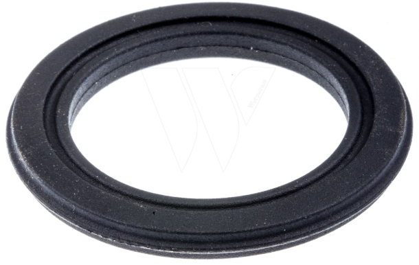 Guarnizione nel gruppo  presso GPLSHOP (5062921-01)