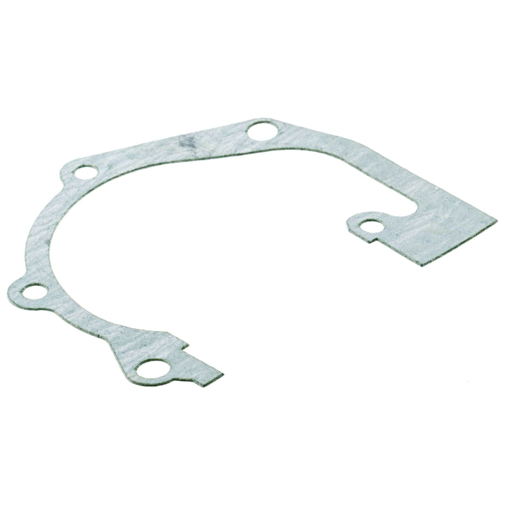 Guarnizione basamento nel gruppo  presso GPLSHOP (5063770-02)