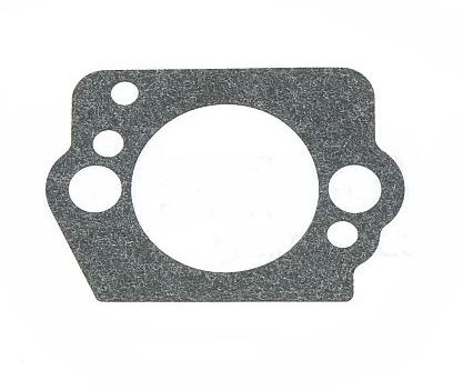 Guarnizione nel gruppo  presso GPLSHOP (5063958-01)