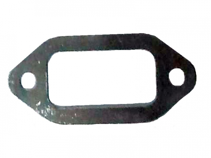 Gasket muffler nel gruppo  presso GPLSHOP (5064123-01)