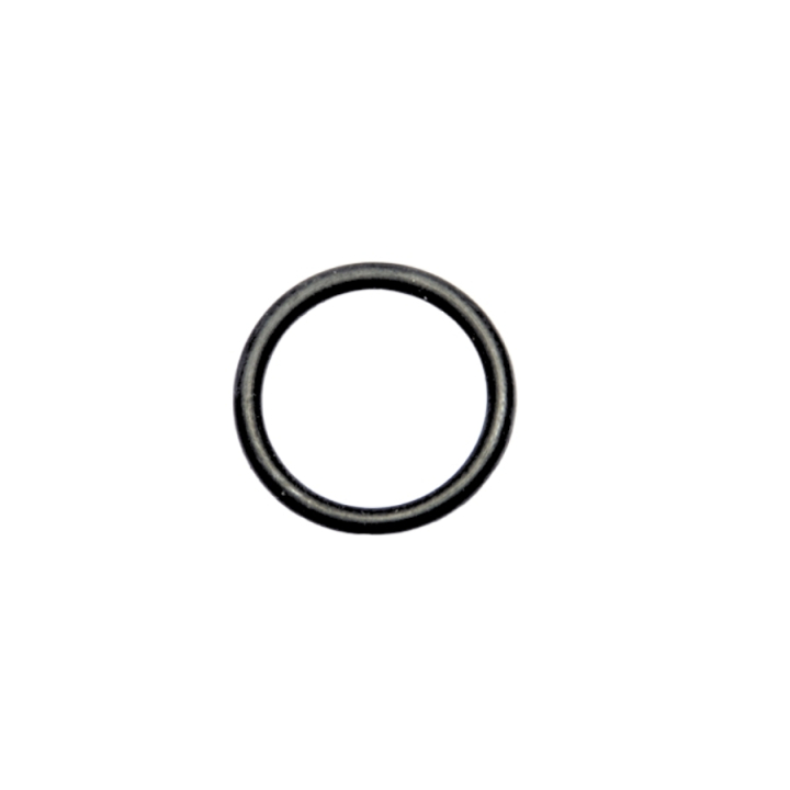 O-ring nel gruppo  presso GPLSHOP (5102429-01)