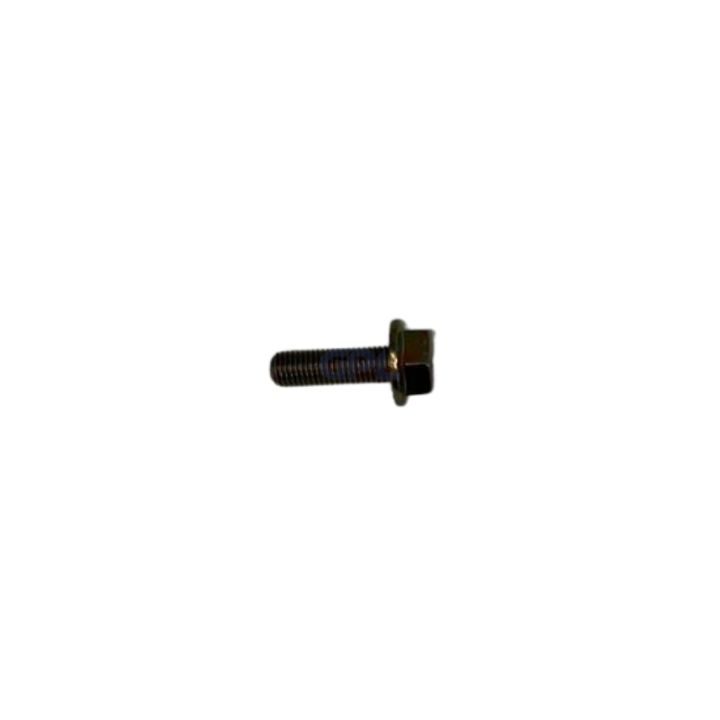 Vite 5196534-12 nel gruppo  presso GPLSHOP (5196534-12)